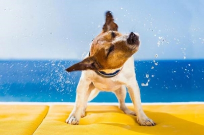 Beat the heat: 5 tips for outdoor workers