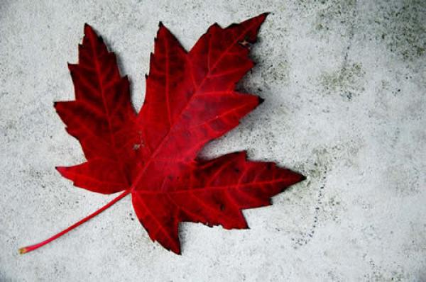 LTL OFFICES CLOSED, JULY 1 - CANADA DAY